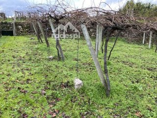Terreno en venta en Cañiza (A)