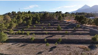 Terreno en venta en El Tossal-Bello Horizonte en Nucia (la)