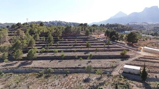 Terreno en venta en El Tossal-Bello Horizonte en Nucia (la)