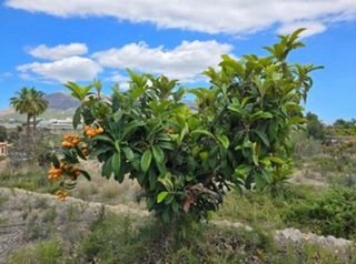 Terreno en venta en El Tossal-Bello Horizonte en Nucia (la)