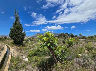 Terreno en venta en El Tossal-Bello Horizonte en Nucia (la)
