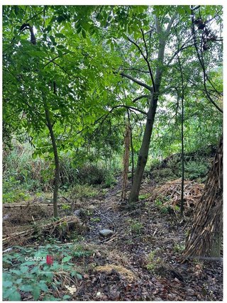 Terreno en venta en Barrio de la Vega en Monachil