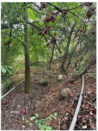 Terreno en venta en Barrio de la Vega en Monachil