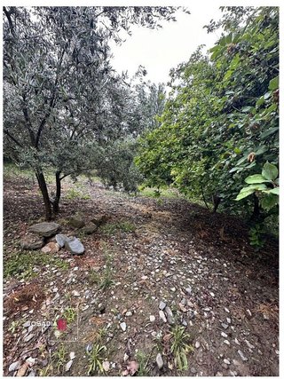 Terreno en venta en Barrio de la Vega en Monachil