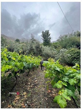 Terreno en venta en Barrio de la Vega en Monachil