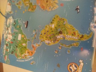 Mapa magnético educativo infantil
