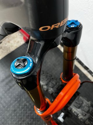 Orbea Wild M-Team 2025
