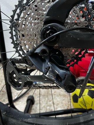 Orbea Wild M-Team 2025