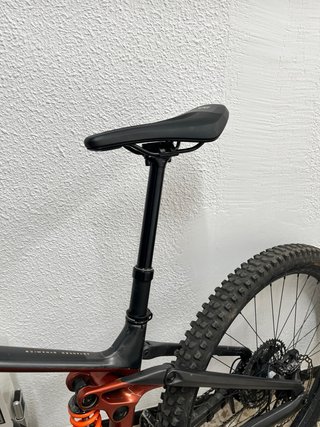 Orbea Wild M-Team 2025