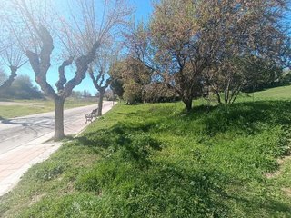 Solar en venta en Molar (El)