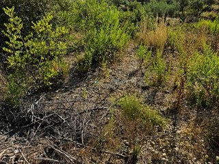 Terreno en venta en Adsubia