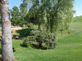 Terreno en venta en Cabanillas del Campo