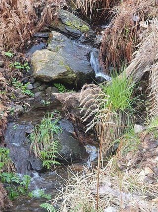 Terreno en venta en Arenas de San Pedro
