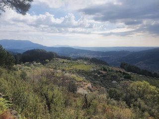 Terreno en venta en Arenas de San Pedro
