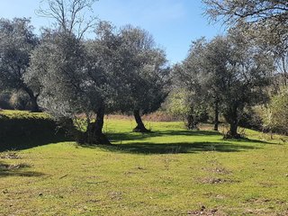 Terreno en venta en Arenas de San Pedro