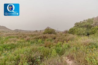 Terreno en venta en Moralet - Cañada del Fenollar en Alicante