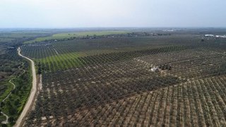 Terreno en venta en Bollullos de la Mitación