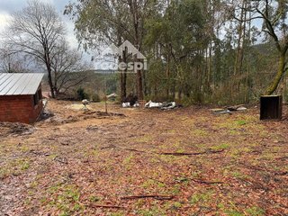Chalet en venta en Cañiza (A)