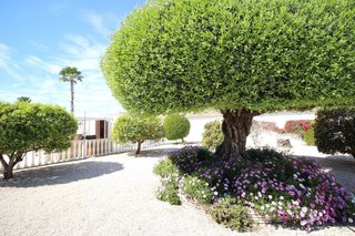 Chalet en venta en Catral