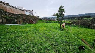 Cortijo en venta en Arroyomolinos de León