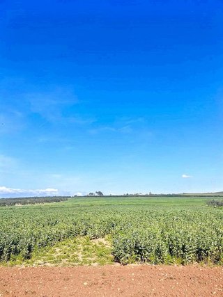 Casa rural en venta en Carmona