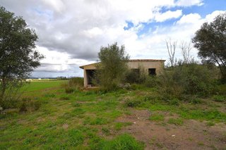 Solar en venta en Muro en Muro