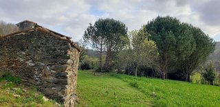 Casa en venta en Cesuras
