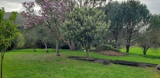 Casa en venta en Cesuras