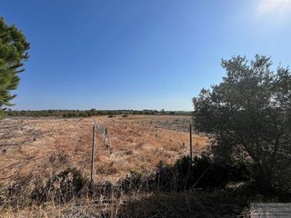 Terreno en venta en Lepe ciudad en Lepe