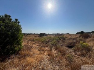 Terreno en venta en Lepe ciudad en Lepe