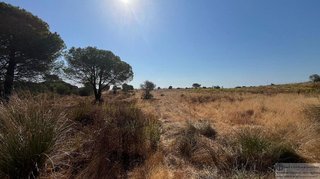 Terreno en venta en Lepe ciudad en Lepe