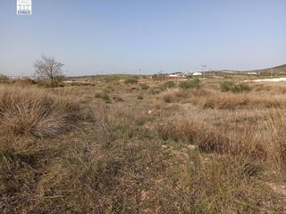 Terreno en venta en Norte en Mérida