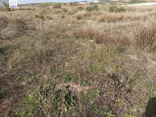 Terreno en venta en Norte en Mérida