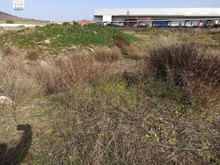 Terreno en venta en Norte en Mérida