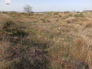 Terreno en venta en Norte en Mérida