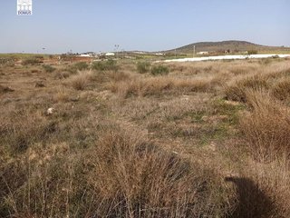Terreno en venta en Norte en Mérida