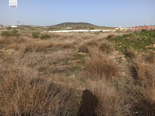 Terreno en venta en Norte en Mérida