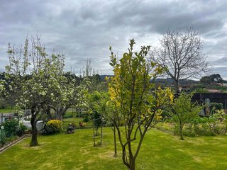 Casa en venta en Cesuras