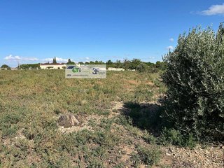 Terreno en venta en Alagón