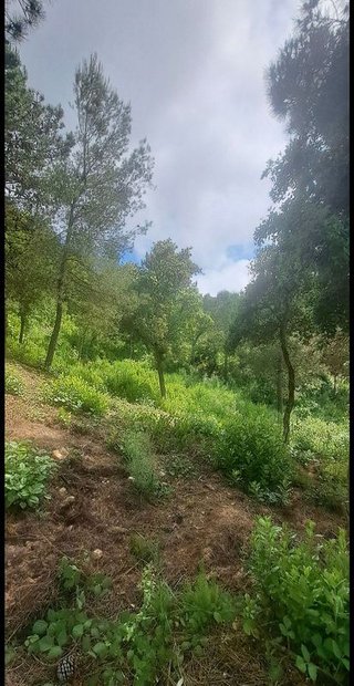 Solar en venta en Urbanitzacions en Lloret de Mar