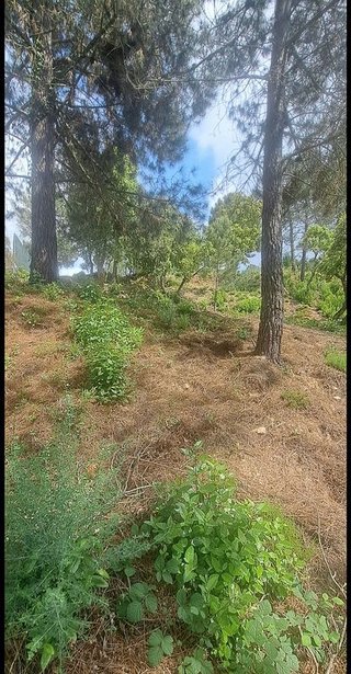 Solar en venta en Urbanitzacions en Lloret de Mar