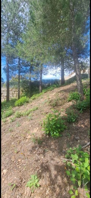Solar en venta en Urbanitzacions en Lloret de Mar
