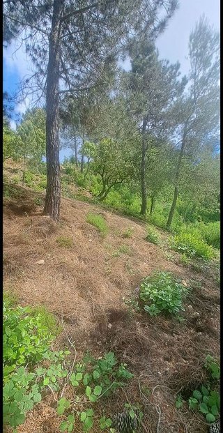 Solar en venta en Urbanitzacions en Lloret de Mar