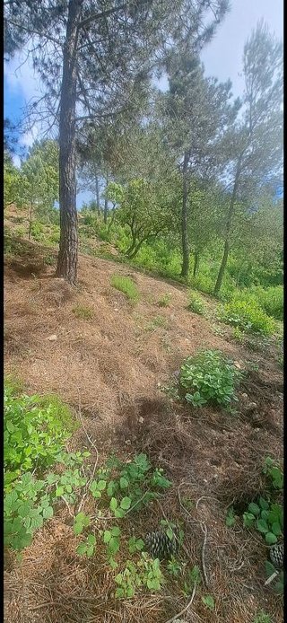 Solar en venta en Urbanitzacions en Lloret de Mar