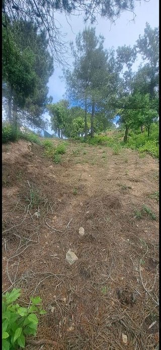 Solar en venta en Urbanitzacions en Lloret de Mar