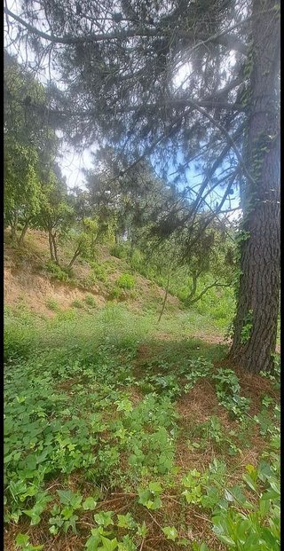 Solar en venta en Urbanitzacions en Lloret de Mar