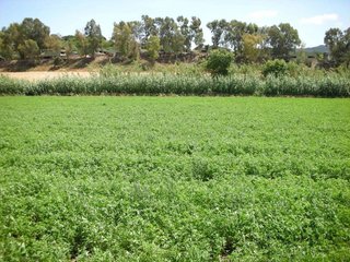 Terreno en venta en Roca del Vallès, la