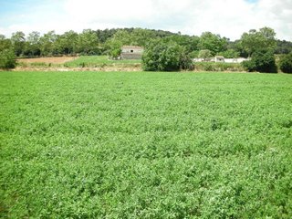 Terreno en venta en Roca del Vallès, la