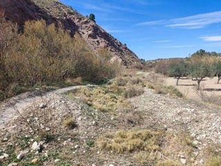 Solar en venta en Tibi