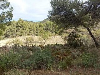 Solar en venta en Tibi